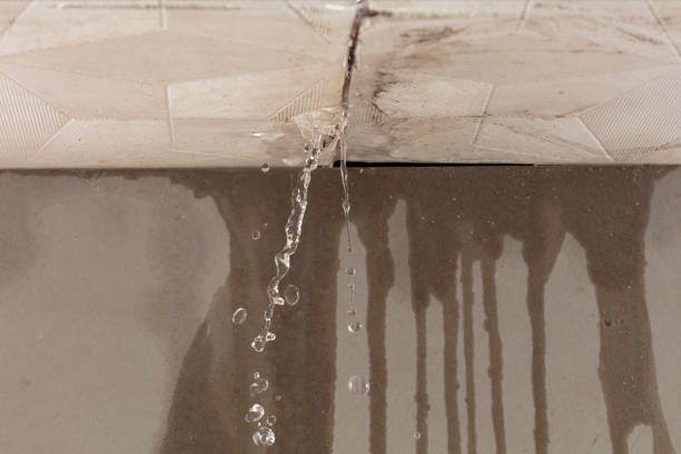Professional Water Damage Inspection technician working in Whitt, TX